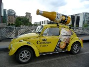 103  Corona Beetle.JPG